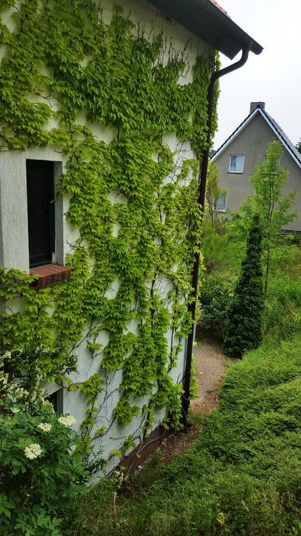 Haus Seefeld Uckeritz Exteriör bild
